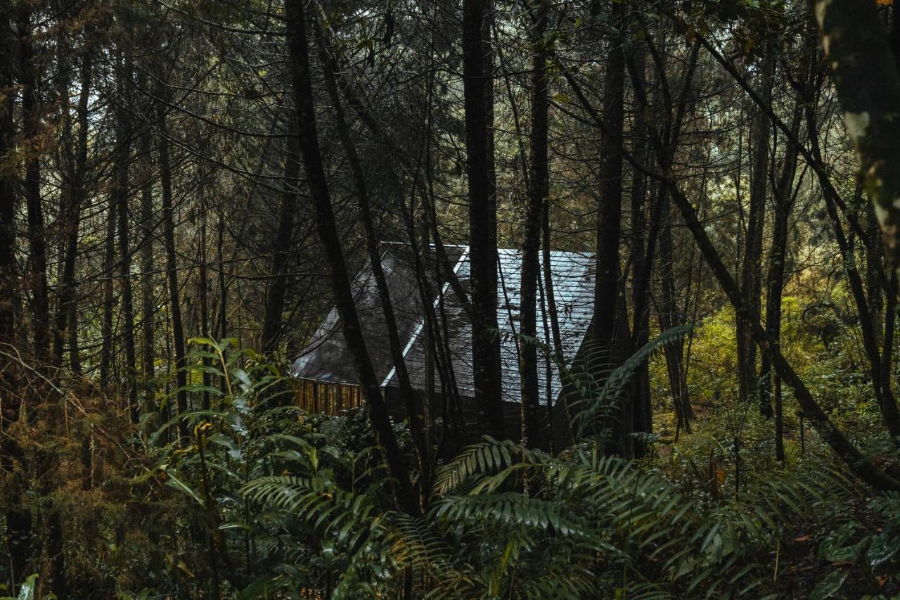 Отель Oculto Refugio De Bosque Энвигадо Экстерьер фото